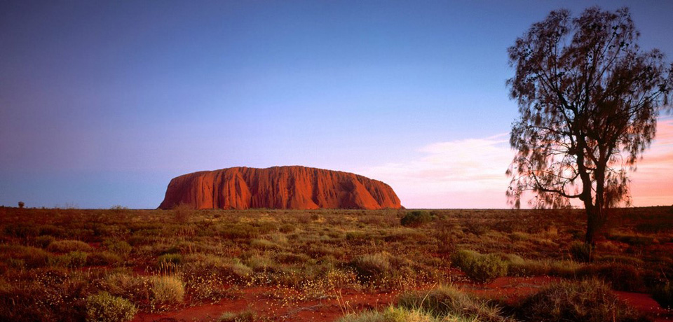 New Graduate Stream for Western Australia State Sponsorship